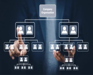 ساختار سازمانی چیست؟