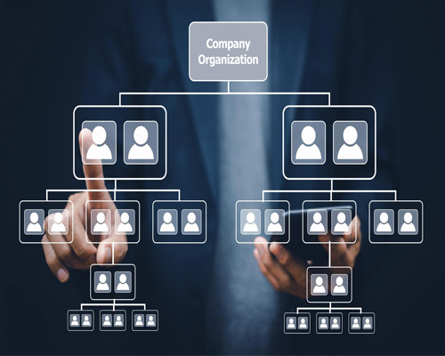 ساختار سازمانی چیست؟