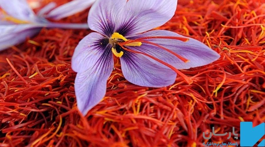 بهترین محصولات صادرات به ارمنستان