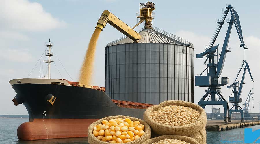 اهمیت واردات غلات به کشور