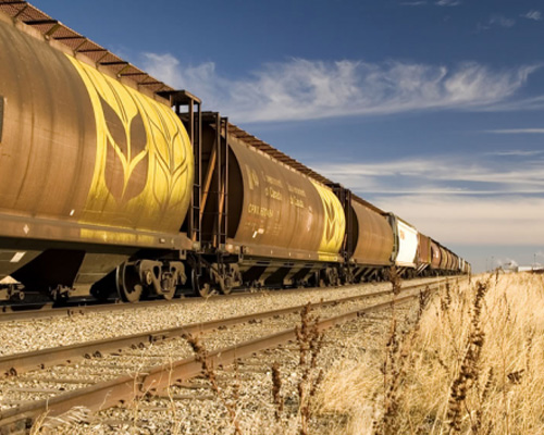 مراحل واردات غلات به ایران